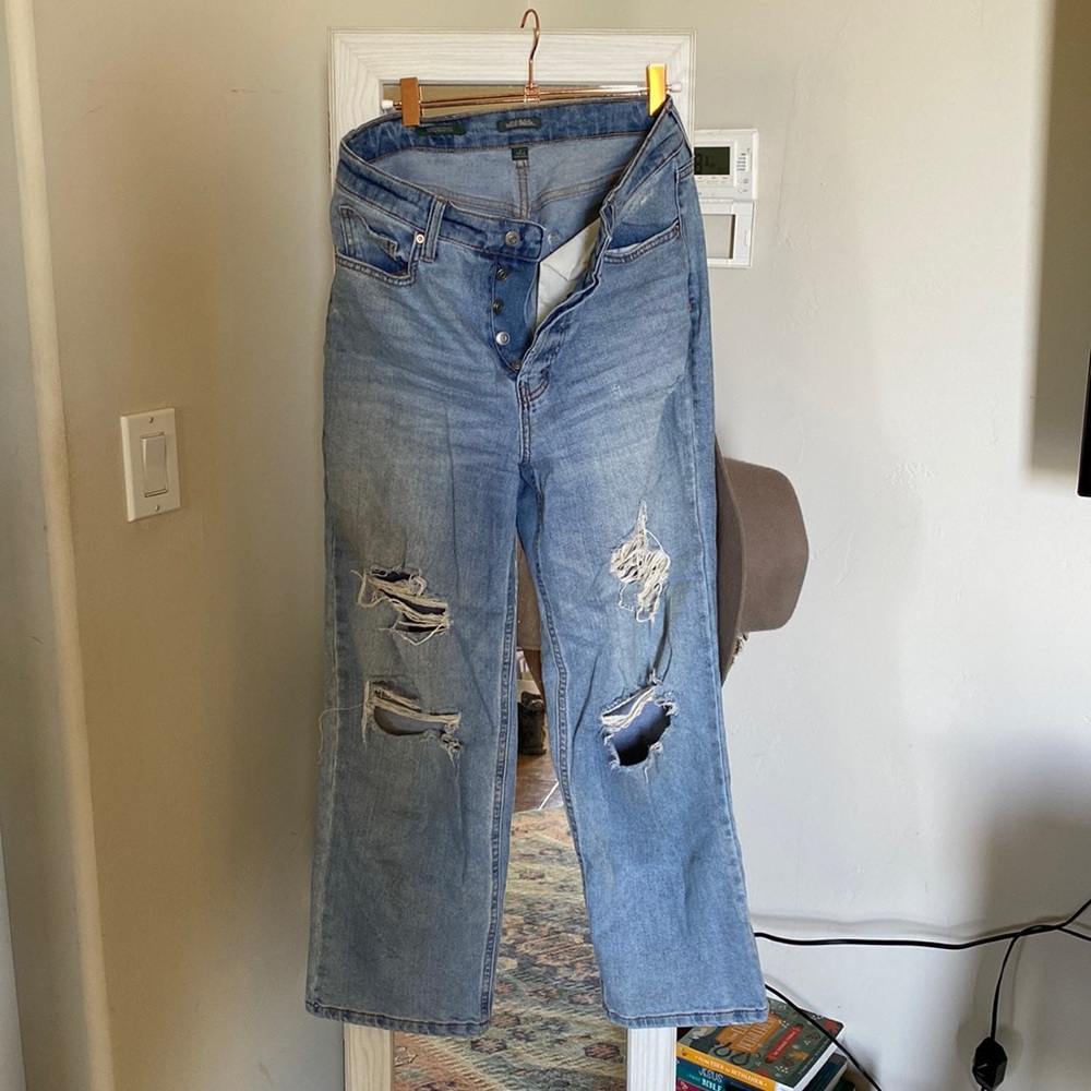 TikTok Jeans- Wild Fable Jeans